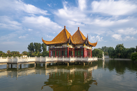 禹州市森林植物園
