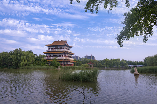 禹州市森林植物园