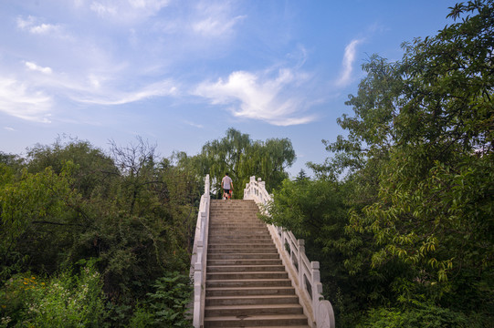 禹州市森林植物园