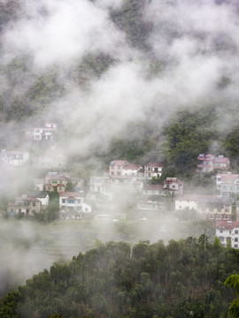 晨雾中的桐庐山村4