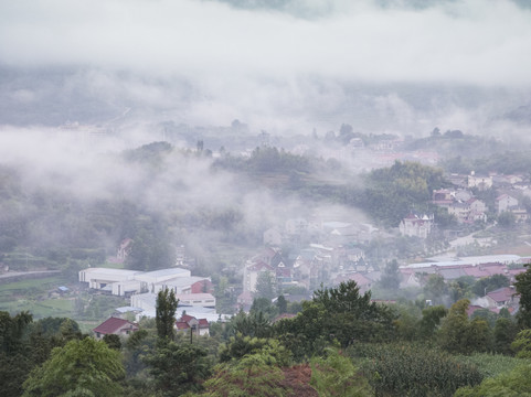 晨雾中的桐庐山村11