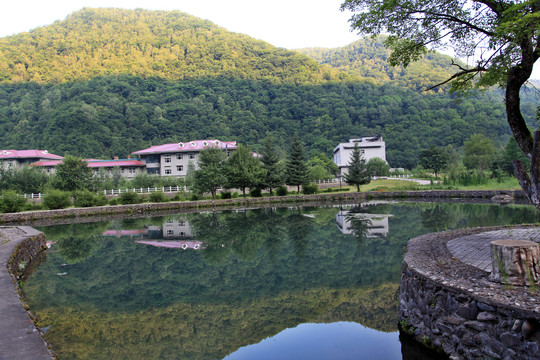 望天鹅景区风光