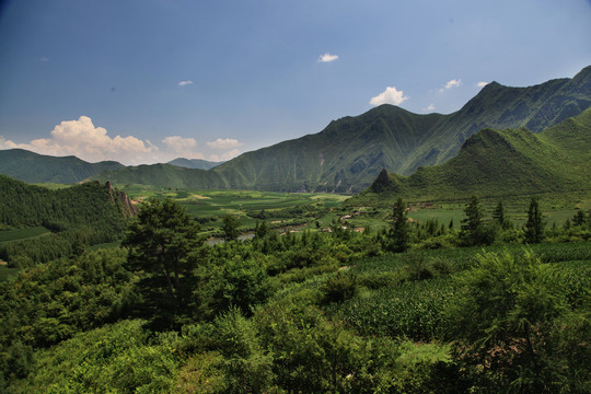 绿水青山