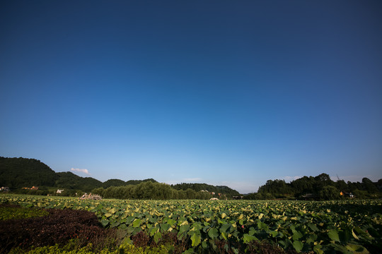 曾国藩故居