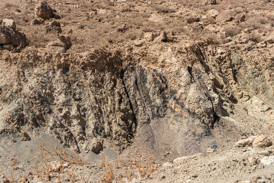 中国新疆塔里木盆地野外地质考察