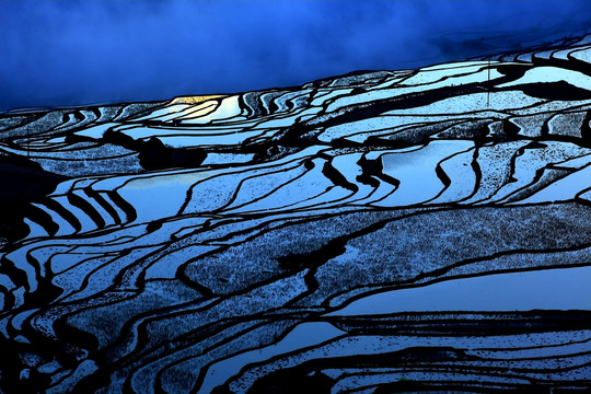 元陽梯田
