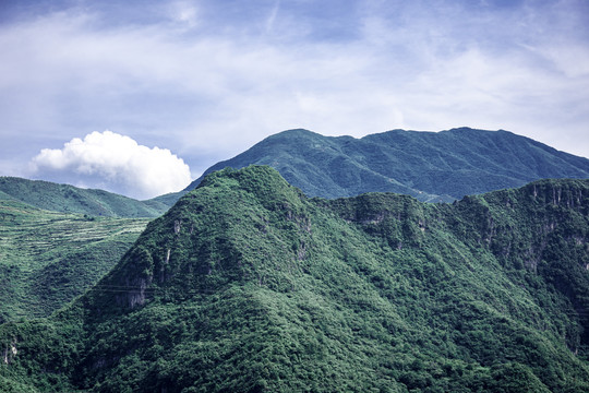 绿色大山