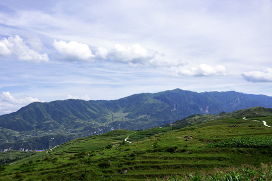 高山丘陵