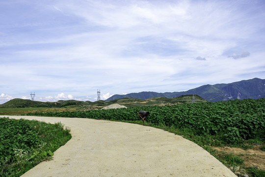 乡村风貌