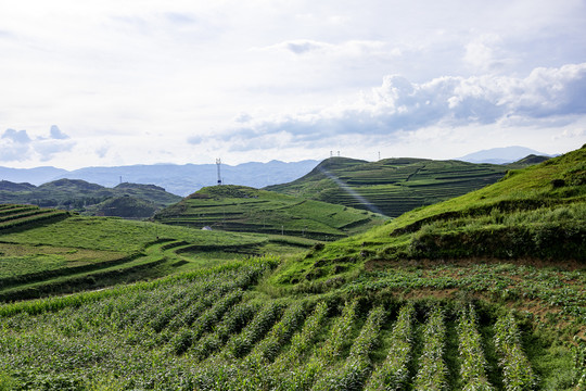 山地丘陵