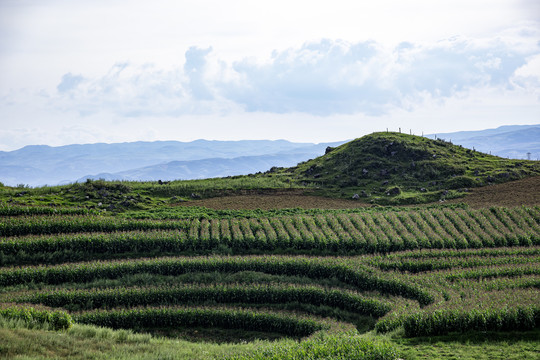 山地丘陵