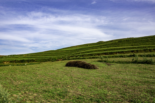 绿色山岭