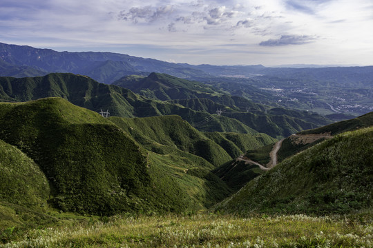 青山丘陵