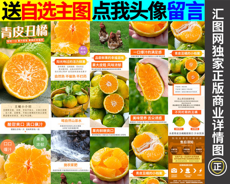 青皮丑橘詳情頁(yè)