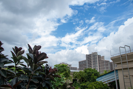 城市天空云朵