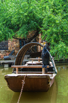 水上的小木船与船上的鸬鹚水鸟