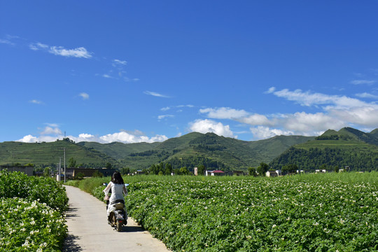 乡村风光