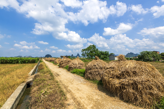 乡村田园道路