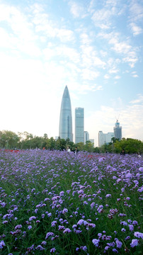 流花山公园