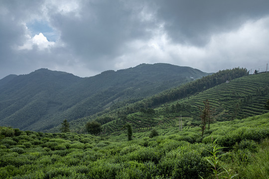 安顶山