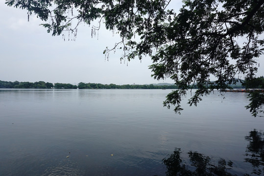 西湖湖面平静湖水