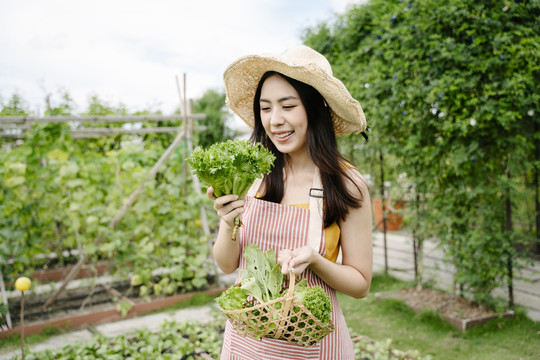 一幅美丽的年轻亚洲农妇的画像，她提着装满有机蔬菜的篮子。