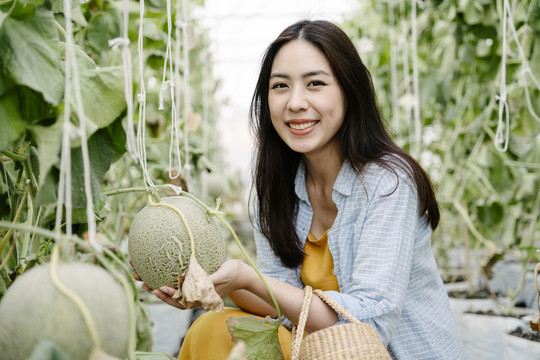 亚洲旅行妇女在温室农场里拿着一个gif瓜果。