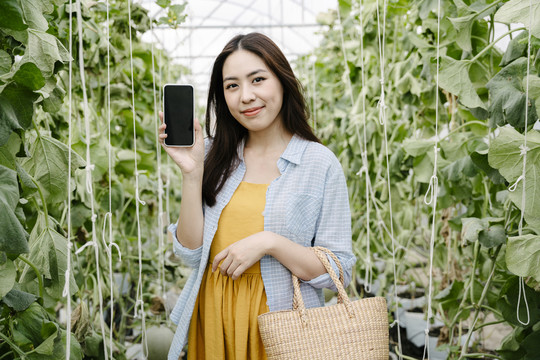 亚洲旅游女性使用智能手机在线购物，从农场购买新鲜水果。