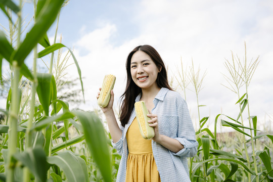 美丽的亚洲农妇在户外的田野里拿着两颗生玉米。