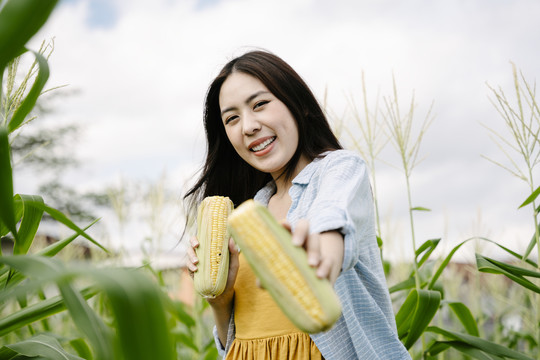 美丽的亚洲农妇在户外的田野里拿着两颗生玉米。