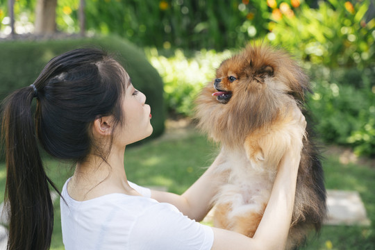 在公园里，主人双手牵着波美拉尼亚斯皮茨犬。