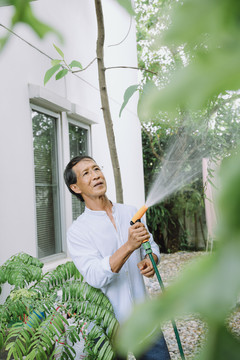 退休的亚洲人在家里的花园里给植物浇水。