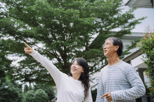 一对亚洲老夫妇一边在公园里散步一边看着飞鸟。