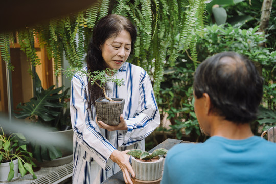 和丈夫在花园里照料植物的亚洲老妇人。