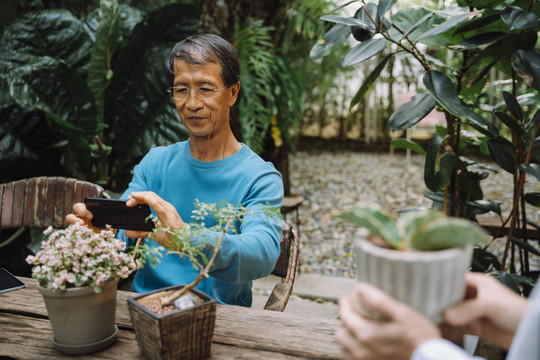 亚洲资深男子在花园里用智能手机拍摄盆景和花盆。