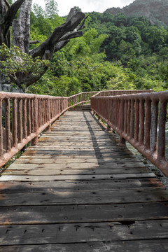 森林景区木桥