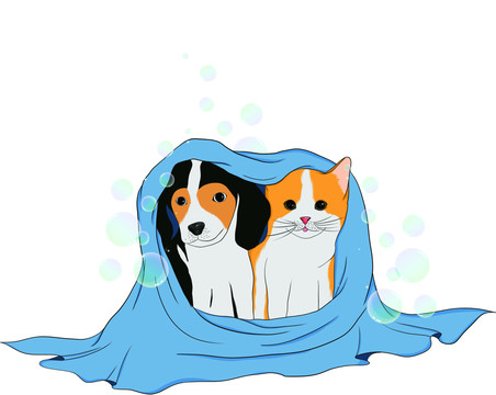 寵物沐浴露插畫