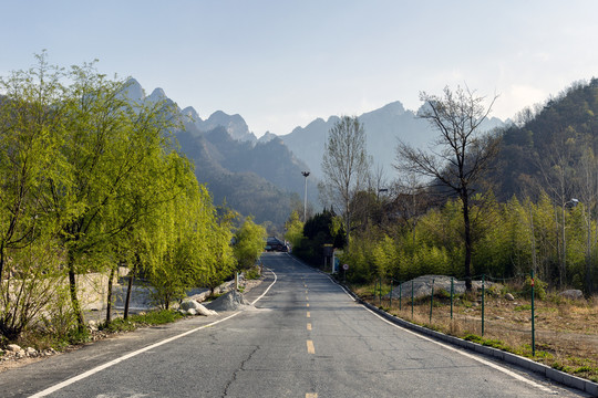 伏牛山老界岭