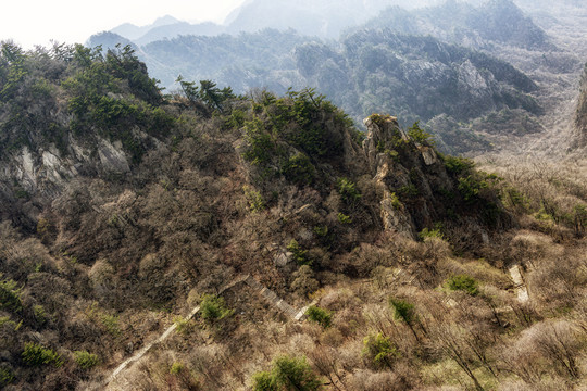 伏牛山老界岭