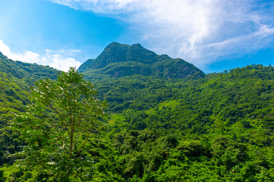 陕西秦岭