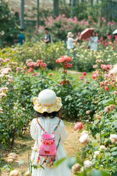 玫瑰园里享受户外活动的亚洲女孩