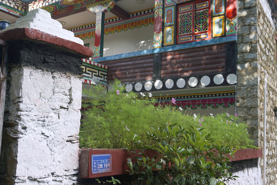 甲居藏寨藏民庭院栽种格桑花