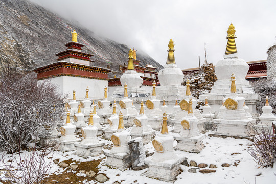 达拉岗布寺塔林