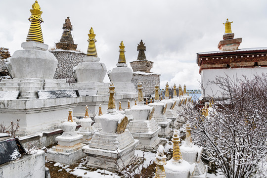 达拉岗布寺塔林