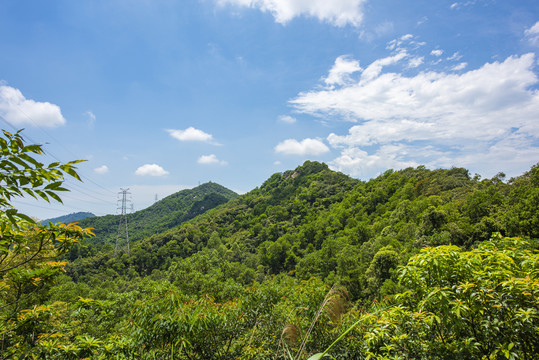 深圳凤凰山