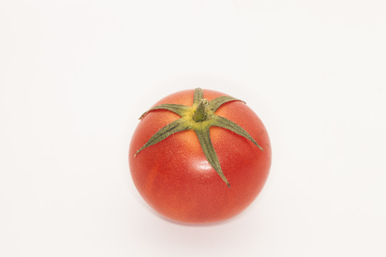白背景西红柿