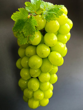 鲜绿葡萄