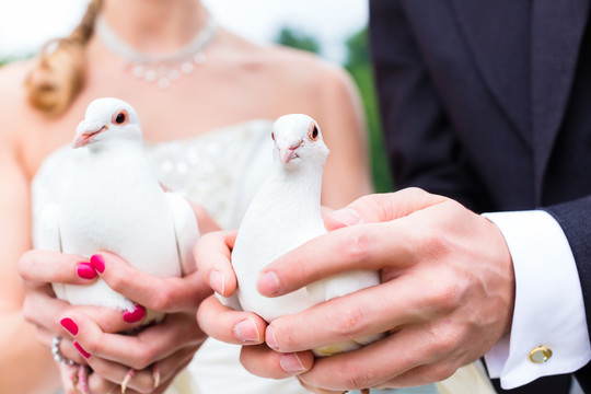 新婚夫妇与白鸽举行婚礼