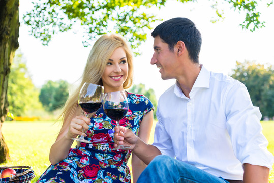 一对夫妇坐在毯子上，提着篮子在草地上用红酒野餐