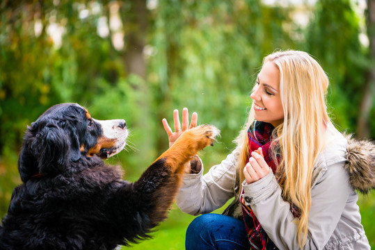 秋天公园里，一只狗用爪子和他的女人握手